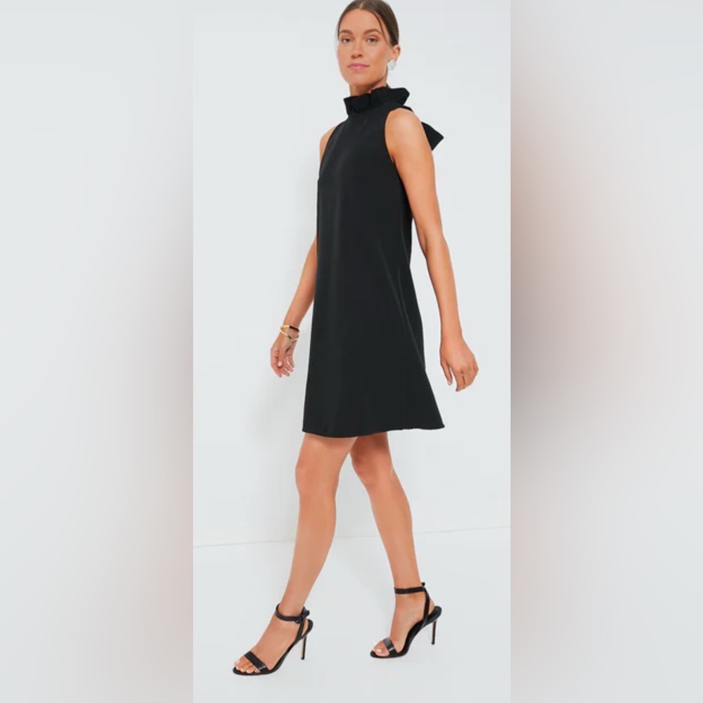 Tuckernuck Black Blythe Mini Dress
